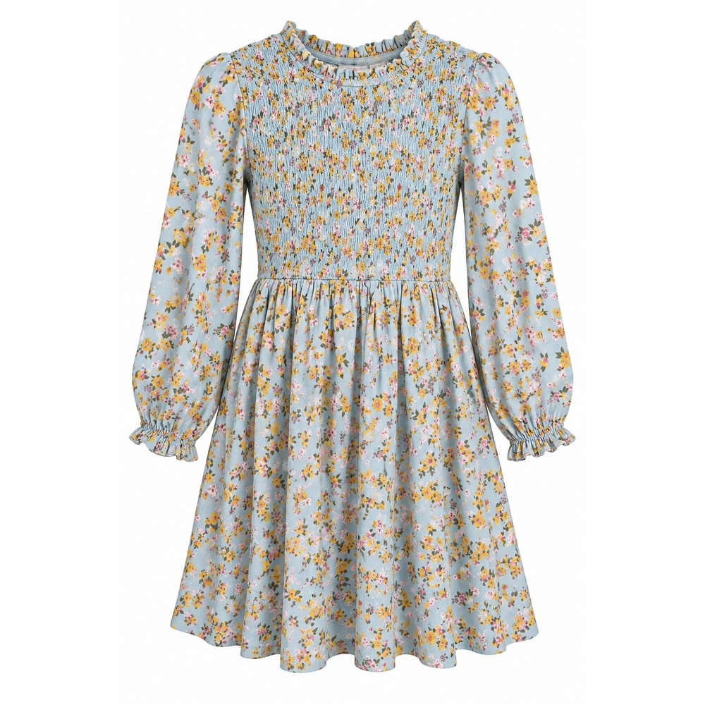 Biscotti Girls Blue Floral Smocked Long Sleeve Ruffle Dress Size 5